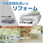 シングル→シングル