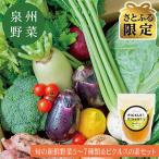 旬の新鮮野菜セット 5~7種 ピクルスの素2袋付き