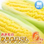 fu.... tax Shimotsuma city preceding acceptance 24 year 7 month shipping!! Shimotsuma production morning .. corn (.. thing )6kg