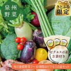 旬の新鮮野菜セット 7~10種 ピクルスの素3袋付き