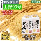 ふるさと納税 最上町 【さとふる限定】新米先行受付 令和7年産 慣行栽培米 山形95号 玄米 20kg 山形県産 西塚農場