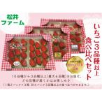 ふるさと納税 前橋市 群馬県産 いちご3品種以上食べ比べセット 計6パック【農林水産大臣賞】