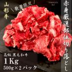 ふるさと納税 新庄市 【山形牛】黒毛和牛 A4・A5ランク　厳選赤身　切り落とし　500g×2(1kg)　