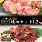 ふるさと納税 花巻市 肉の匠中むら屋厳選 お肉讃歌焼肉セット1.2kg