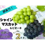 ふるさと納税 真庭市 【訳あり】岡山県産ぶどう詰合せ2kg(シャインマスカット+ピオーネ)