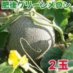 ふるさと納税 玉名市 先行受付 肥後グリーンメロン 2玉(1玉約2kg)(玉名市)