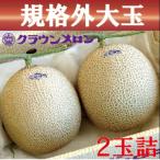 ふるさと納税 袋井市 【規格外BIGサイズ!】クラウンメロン規格外大玉 2玉詰