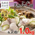 ふるさと納税 浜田市 【さとふる限定】国産天然ふぐ切り身1.0kgパック(4人前、鍋用醤油スープ付)【10〜3月発送】