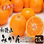 ショッピングふるさと納税 訳あり 不揃い ふるさと納税 和歌山市 和歌山産 【訳あり】ミカン 7 . 5kg 【ご自宅用・サイズ不揃い・キズ等あり】