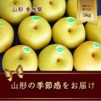 ショッピング梨 ふるさと納税 山形県 幸水梨　約8玉〜約14玉　約5kg【2024年8月から発送】