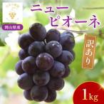 ふるさと納税 真庭市 岡山 花笑み農園の 『訳ありニューピオーネ』1kg WP-1【9月上旬〜順次発送】