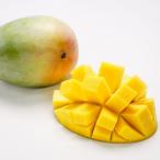 ふるさと納税 豊見城市 【2026年8月より順次発送】【訳あり】菜々色畑のキーツマンゴー約2kg