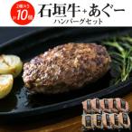 ショッピングふるさと納税 ハンバーグ ふるさと納税 豊見城市 石垣牛&あぐーハンバーグセット