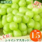 ショッピングふるさと納税 シャインマスカット ふるさと納税 山形県 【2026年発送先行受付】訳ありシャインマスカット1.5kg