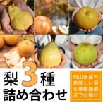 ふるさと納税 真庭市 岡山県産 梨好