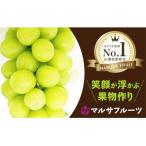 ショッピングシャインマスカット ふるさと納税 シャインマスカット 笛吹市 シャインマスカット　約1.1kg以上(2〜3房入)朝採り産地直送