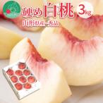 ふるさと納税 山形県 硬い白桃 3kg(6〜12玉前後) 大玉 ギフト用 品種おまかせ 山形県産 【令和7年産 先行受付】