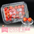 ふるさと納税 村山市 さくらんぼ 佐藤錦 ◯秀 M玉以上 180g×4パック 計720g フードパック 2026年産
