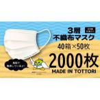 ふるさと納税 岩美町 【50枚入り×40箱】耳が痛くなりにくい不織布マスク　鳥取岩美町製造