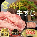 ふるさと納税 日南市 【さとふる限定】宮崎牛 牛すじ A4〜A5ランク 3kg(1kg×3パック)(日南市)