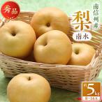 ふるさと納税 高森町 【南信州産】南水　約5kg　秀品