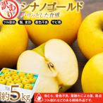 ふるさと納税 箕輪町 2025年!信州のりんご【シナノゴールド】訳あり 約5kg 家庭用