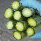 fu.... налог . хорошо . город [2026 год отправка ]. хорошо . производство . земля культивирование зеленый спаржа (2L размер ) 1kg