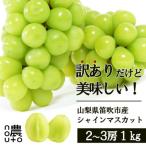 ショッピングふるさと納税 シャインマスカット ふるさと納税 笛吹市 【先行受付】訳あり シャインマスカット1kg 2房〜3房 2024年発送 山梨県 笛吹市 大人気