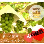 ショッピング09-10 ふるさと納税 笛吹市 富士山と心の結晶、甲府盆地で育てた、生産量日本一、芳醇なシャインマスカット1.8〜2kg。