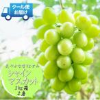 ショッピングふるさと納税 シャインマスカット ふるさと納税 南アルプス市 安心のクール便発送　シャインマスカット 1kg (2房)　山梨県南アルプス市