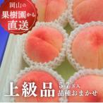 ふるさと納税 真庭市 【きよとうファーム】旬採り桃の上級品5-7玉入(岡山県産)