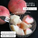 ふるさと納税 真庭市 【2026年先行予約】「硬めの桃好きさん」におすすめ! 硬め桃 上級品 5-7玉(岡山県産)