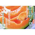 ふるさと納税 富良野市 富良野メロン(赤肉)夏ギフト秀品1.6kg/2玉入