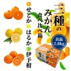 ふるさと納税 松山市 【三種のみかん食べ比べ箱】せと・はるか・宮内伊予柑 (良品)約2.8kg<2026年2月頃より発送>