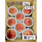ふるさと納税 山形県 【2025年先行受付】山形白桃2kg 朝採り当日発送 品種おまかせ(4〜9玉)