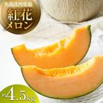 ふるさと納税 鶴岡市 【山形県産】紅花メロン(赤肉)約4.5kg (3~5玉)