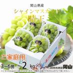 ふるさと納税 津山市 【2025年8月発送】ご家庭用 岡山県産 シャインマスカット 晴王 2kg(3〜6房)