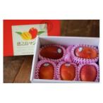 ショッピングふるさと納税 マンゴー ふるさと納税 伊仙町 【2026年7月中旬より順次発送】完熟マンゴー約2kg(4〜6個:化粧箱入り)、家庭用(B級品)