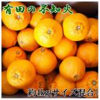 有田産不知火約4kg 2L~5Lサイズ混合