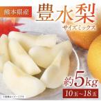 ふるさと納税 八代市 【2025年8月下旬より順次発送】熊本県産 豊水梨 約5kg サイズミックス 10玉〜18玉