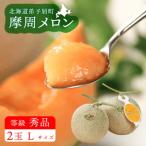 ふるさと納税 弟子屈町 摩周メロン秀品2玉入り(1玉1.3kg以上) 3074