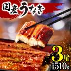 ふるさと納税 宮崎市 国産　うなぎ蒲焼3尾(計510g)