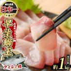 ふるさと納税 長島町 テレビで紹介ぶりの王様 「鰤王」 新物 鰤王 フィレ 約1kg 【JFA】_jfa-1481