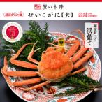 fu.... налог Echizen блок ...[ Echizen ..... большой 250g передний и задний (до и после) ] 11~12 месяц последовательный отправка 