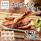 ふるさと納税 浜田市 島根県産浜田市加工 スルメイカ一夜干し 食べ応え大満足の合計1.2kg(小分け個包装200g×6袋)