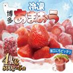 ショッピングふるさと納税 いちご ふるさと納税 太宰府市 福岡県産冷凍あまおう4kg(800g×5袋)(太宰府市)