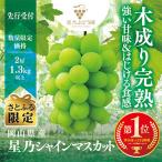 ふるさと納税 津山市 【さとふる限定】星乃シャインマスカット 数量限定 (岡山県産) 2房(1.3kg以上)