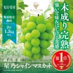 ショッピング09-10 ふるさと納税 津山市 【先行受付】星乃シャインマスカット 数量限定(岡山県産)　2房(1.3kg以上)