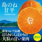 ふるさと納税 今治市 【先行受付】(訳あり)島のね 甘平(4kg)【KB01600】