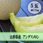 ふるさと納税 山形県 令和6年産先行